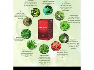 Giảm Cân Đông Y Collagen