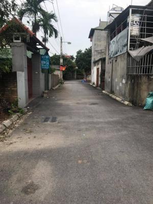 Bán đất