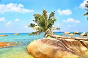 Tour Du lịch Hòn Sơn