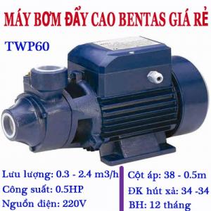 TWP60-0.5HP