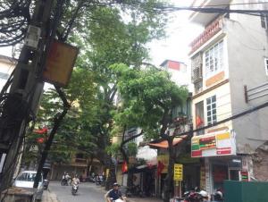 Tôi cần bán nhà phân lô mặt chợ ô tô tránh Nguyễn Công Hoan Ba Đình 71m2x3 tầng kinh doanh sầm uất