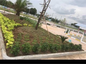 Cần bán đất khu dân cư Luxury Central, Phước Lý,SHR, xây dựng tự do