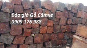 Gỗ căm xe tại Bình Dương