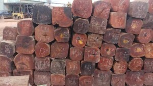 Báo giá Gỗ căm xe hộp tròn, vuông nhập khẩu tại TPHCM, gỗ căm xe có sẵn giao ngay, giấy tờ đầy đủ