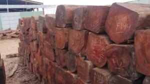 Báo giá Gỗ căm xe hộp tròn, vuông nhập khẩu tại TPHCM, gỗ căm xe có sẵn giao ngay, giấy tờ đầy đủ