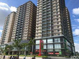 Cần tiền bán gấp căn hộ COSMO, 99 Nguyễn Thị Thập, đã có sổ hồng