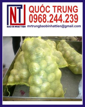 Bao Lưới Đựng Hành Tây