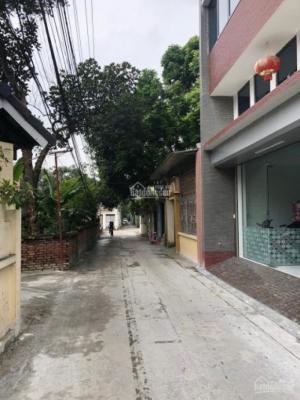 Bán đất thổ cư giá rẻ thôn Đản Mỗ giá chỉ từ 635m2