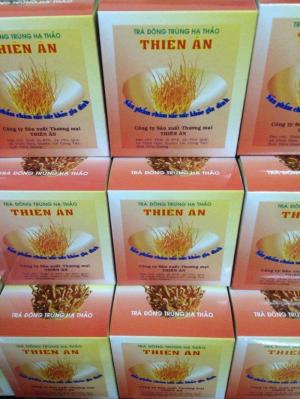 trà nấm đông trùng hạ thảo
