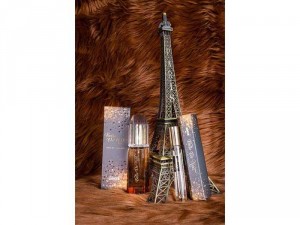 Nước hoa nữ BELLE DE NUIT Damode 40ml