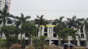 Ngói dán bitum phủ đá