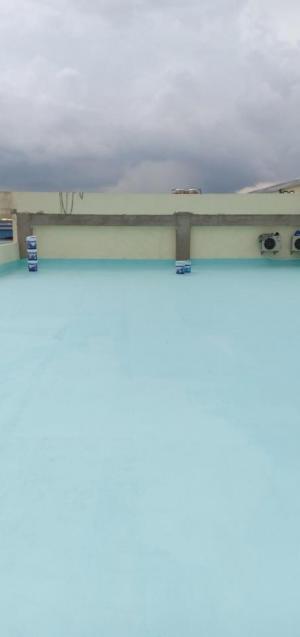 Chống thấm Trần nhà, sân trước, ban công, bồn hoa 3B-800