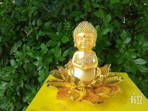 Tượng Phật Tổ nước hoa