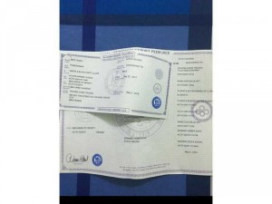 Chó pom thái