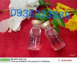 Tế bào gốc BORNFACE nhà cung cấp số 1 tại Việt Nam