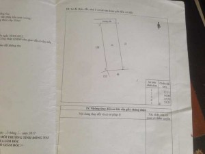 17x54 sổ riêng 300m thổ cư có 1 căn nhà cấp 4. 767 chợ vĩnh an vào 300m . Sau lưng trường cấp 1 cây gáo