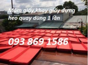 Mâm heo quay tại Cần Thơ