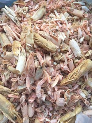Bột Đầu Tôm Sấy Khô