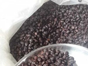 Hạt rỗi rừng Lang chánh 300k/1lang