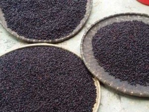Hạt rỗi rừng Lang chánh 300k/1lang