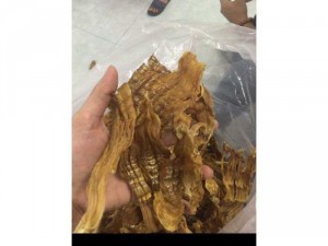 Măng nứa Đắkglei