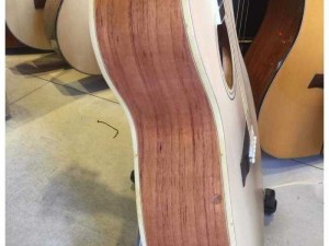 Đàn guitar. Sáo và ukulele