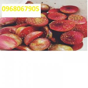 Cung cấp giống cây mận hậu. mận hậu mộc chậu đẹp tuyệt vời. cung cấp cây giống giá rẻ nhất miền bắc
