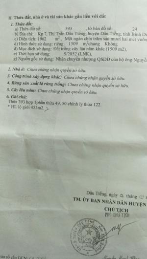 hình thực tế