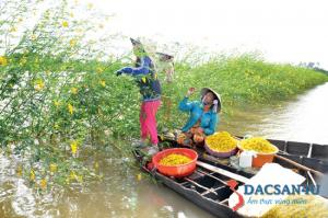 Tour Khám phá Miền Tây mùa nước nổi (2n1đ) ghép đoàn