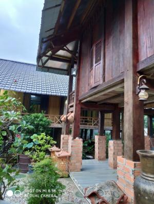 Biệt Thự Gỗ 25m X 50m Mặt Tiền Đường Nhựa Thuộc Xã Thái Mỹ Huyện Củ Chi