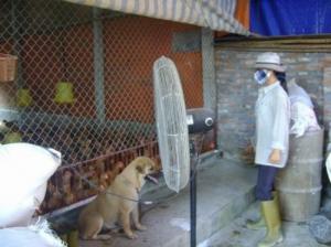 luôn luôn đồng hành cùng doanh nghiệp