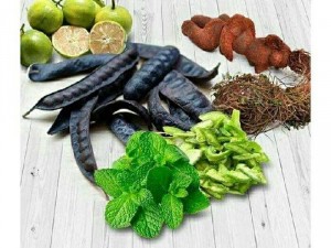 Chuyên bán sỉ & lẻ đọc quyền phân phối