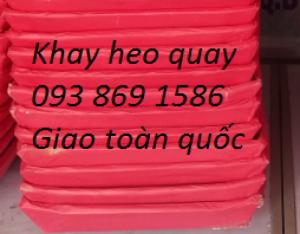 khay đựng heo quay bằng giấy mâm heo quay giấy