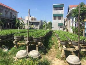 Bán đất Ngọc Anh, xã Phú Thượng, huyện Phú Vang. Khổ vừa 119m2, giá cực tốt