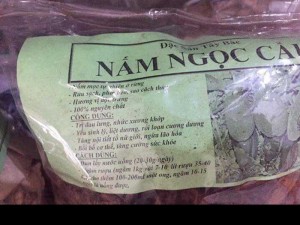 Nấm Ngọc Cẩu Kon Tum