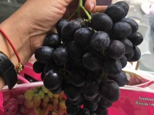 Nho đen không hạt Mỹ