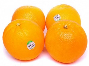 Cam vàng Navel Mỹ