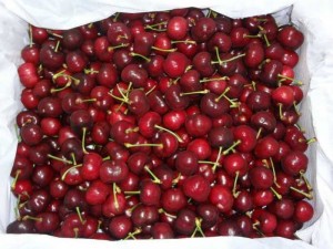 Cherry Mỹ size 8.5