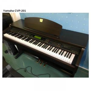 ComBo 5 cây Piano Điện