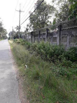 Đất Thổ Cư 100m X 120m Mặt Tiền Đường Nhựa Nhuận Đức Thuộc Xã Nhuận Đức