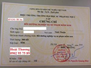 Học sư phạm mầm non, bảo mẫu tại Bình Dương