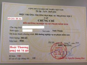 Nghiệp vụ sư phạm bảo mẫu tại Bình Dương