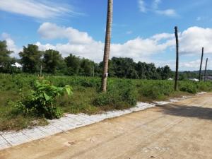Đất Nền Bình Dương Giá Rẻ-Sổ Hồng Riêng-Sinh Lời cao