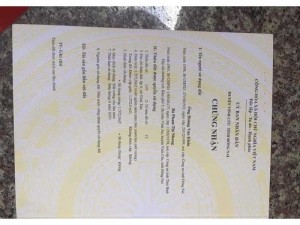 1,2 mẫu ở vĩnh tân vĩnh cửu. Giá 230tr 1 sào cách 767 vô 1km.