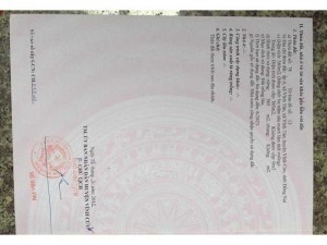 1,2 mẫu ở vĩnh tân vĩnh cửu. Giá 230tr 1 sào cách 767 vô 1km.