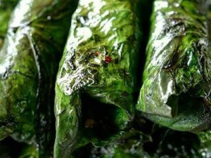Bò Lá Lốt - Charcoal Grilled Beef in “Lot“ Leaves