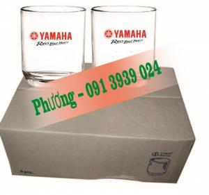 Cung cấp ly thủy tinh in logo công ty giá rẻ toàn quốc