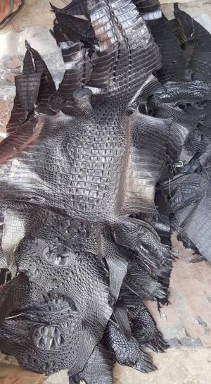 Thắt lưng da cá sấu