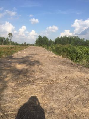 Bán Đát Bình Hòa Nam, Đức Huệ, Long An