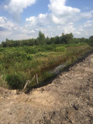 Bán Đát Bình Hòa Nam, Đức Huệ, Long An